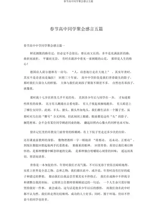 春节高中同学聚会感言五篇