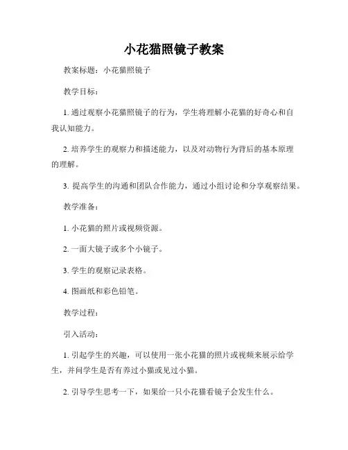 小花猫照镜子教案