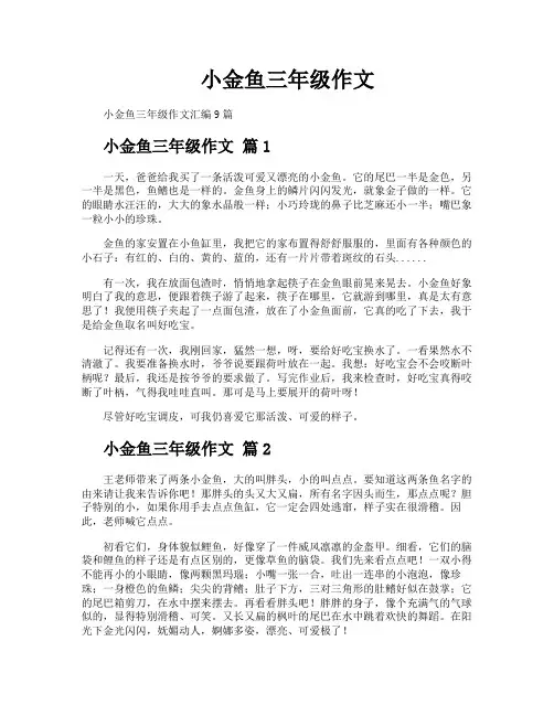 小金鱼三年级作文