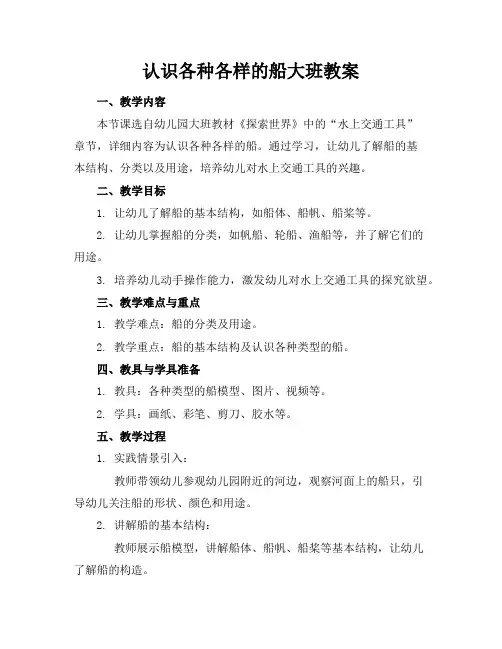 认识各种各样的船大班教案