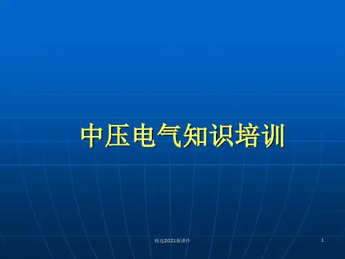 中压环网柜知识规范