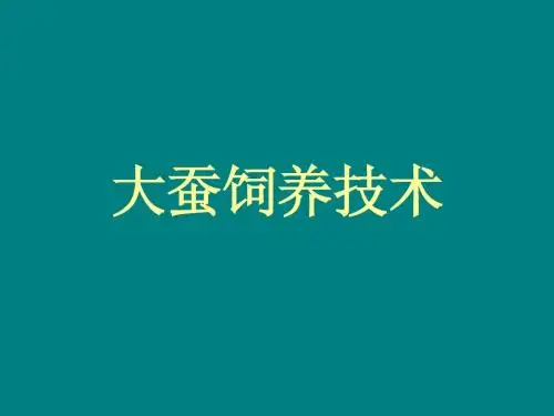 大蚕饲养技术
