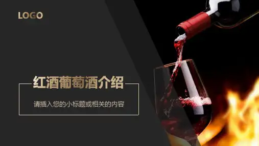 红酒类介绍PPT模板
