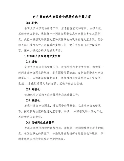 矿井重大水灾事故作业现场应急处置方案（二篇）