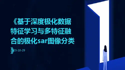 基于深度极化数据特征学习与多特征融合的极化SAR图像分类