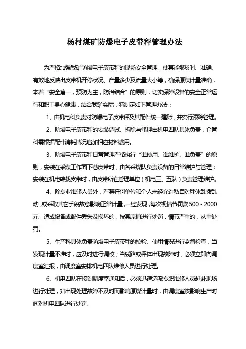 杨村煤矿防爆电子皮带秤管理办法