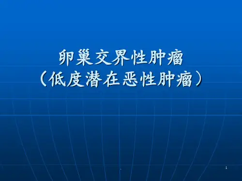 卵巢交界性肿瘤PPT课件