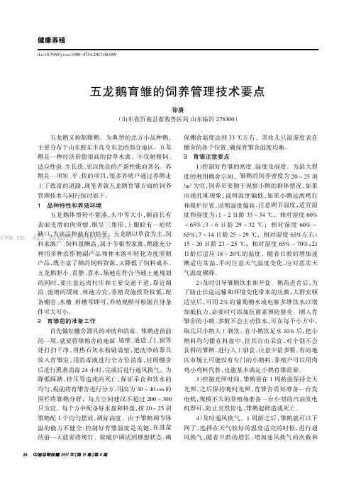 五龙鹅育雏的饲养管理技术要点