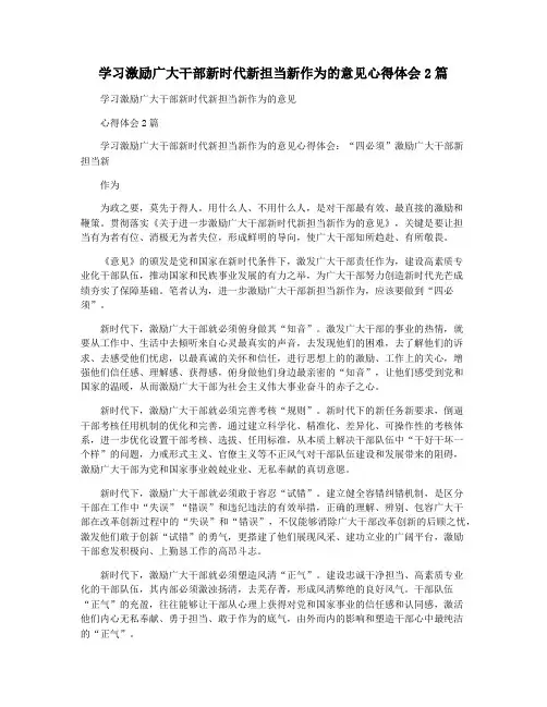 学习激励广大干部新时代新担当新作为的意见心得体会2篇