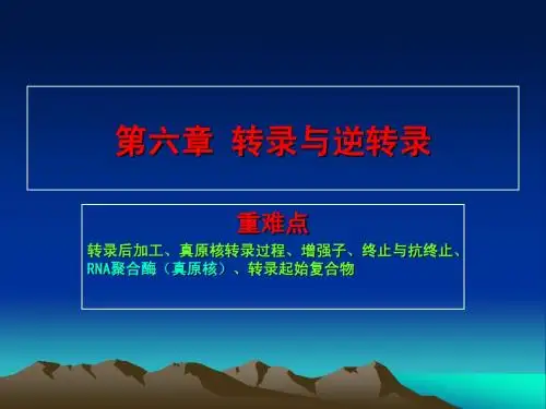 分子生物学课件 第六章 转录与逆转录
