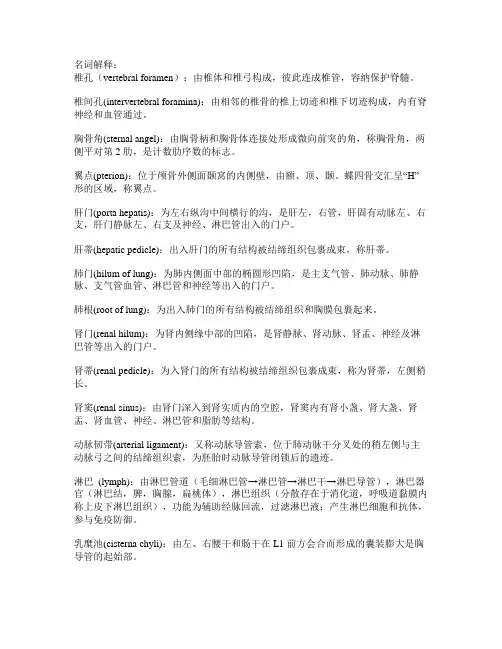 系解名词解释