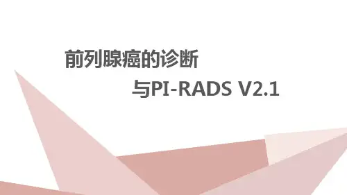 前列腺癌的诊断与PI-RADS影像