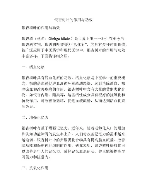 银杏树叶的作用与功效