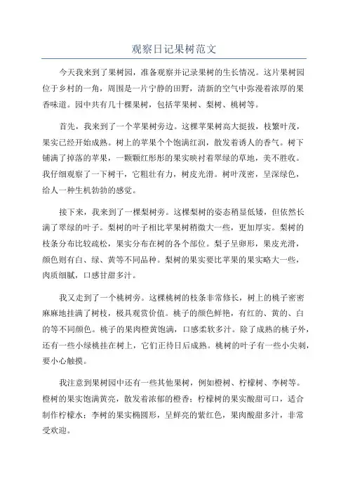观察日记果树范文