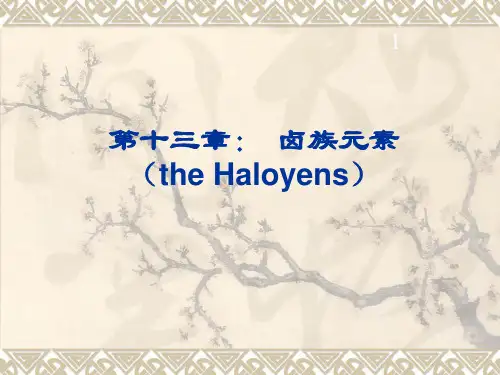 第十三章：卤族元素