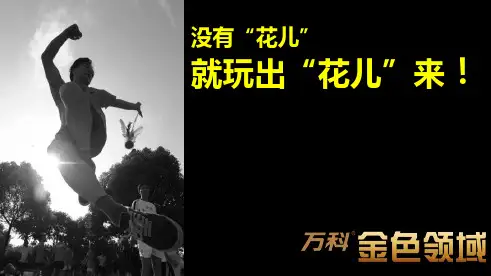 万科金色领域案例分享