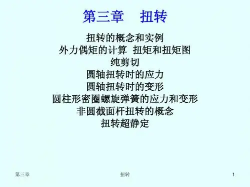 03扭转