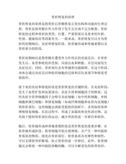 骨折恢复的原理