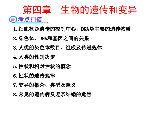 生物的遗传与变异复习课件(人教版生物)
