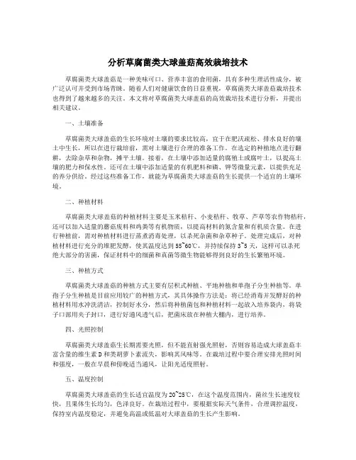 分析草腐菌类大球盖菇高效栽培技术
