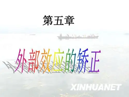第六讲第五章外部效应