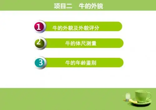 实训一  牛的外貌 2