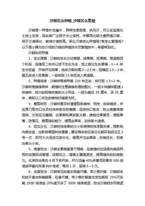 沙棘怎么种植_沙棘怎么繁殖