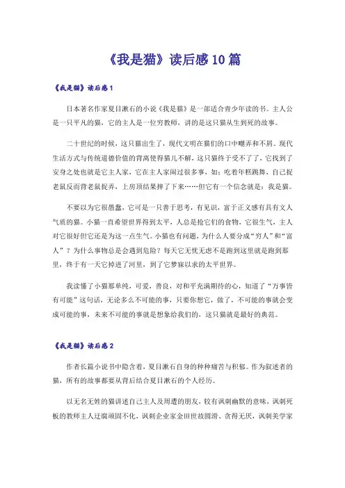 《我是猫》读后感10篇