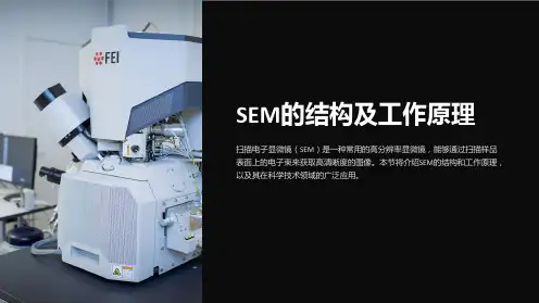 SEM的结构及工作原理