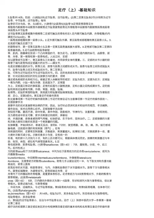 足疗（上）-基础知识