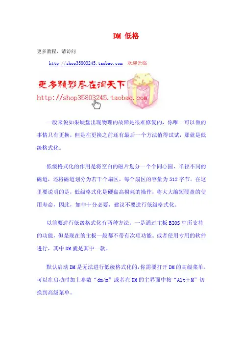 DM 低格与分区教程图解
