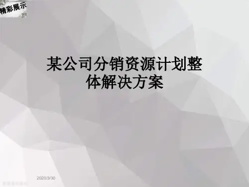 某公司分销资源计划整体解决方案
