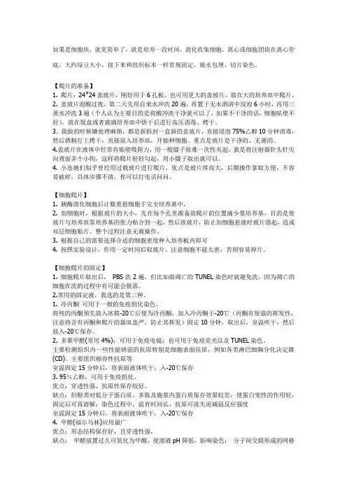 细胞爬片制作
