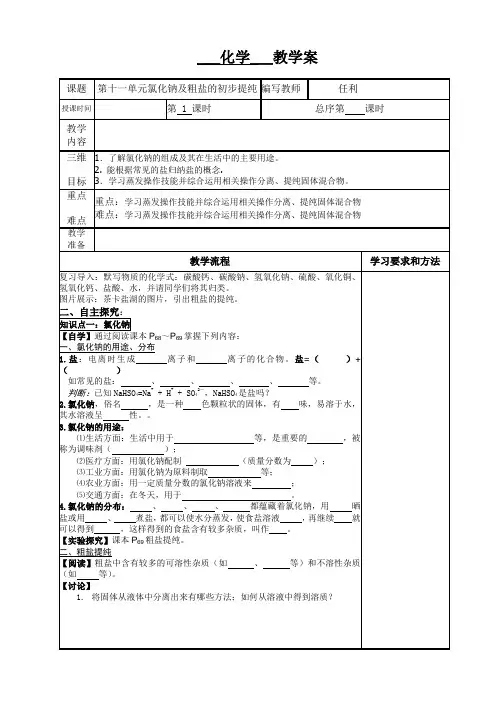 化学人教版九年级下册氯化钠及粗盐的初步的提纯
