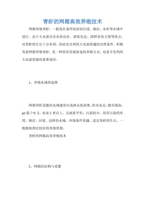 青虾的网箱高效养殖技术