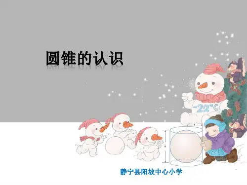 六年级下册数学课件圆锥的认识人教版 (5)PPT(共13页)PPT