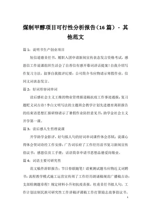 煤制甲醇项目可行性分析报告(16篇) - 其他范文