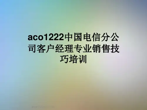 aco1222中国电信分公司客户经理专业销售技巧培训