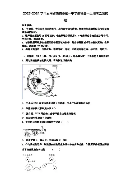 2023-2024学年云南省曲靖市第一中学生物高一上期末监测试题含解析
