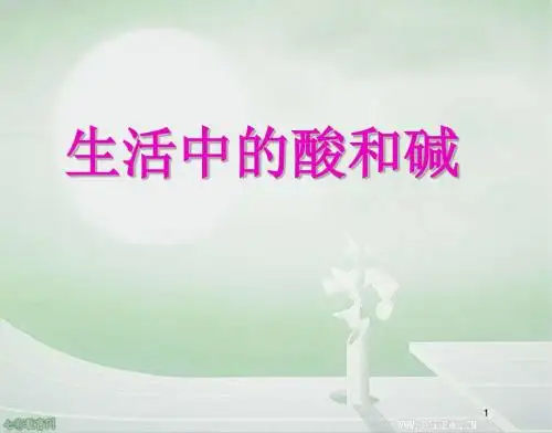化学九年级上鲁教版5.1生活中的酸和碱课件.