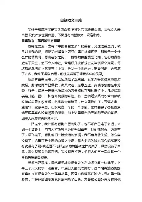 白鹭散文三篇