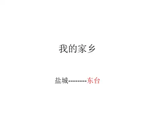 介绍东台
