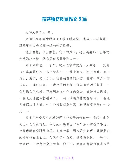 精选独特风景作文5篇