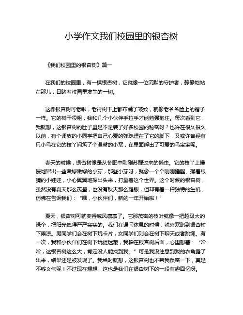 小学作文我们校园里的银杏树