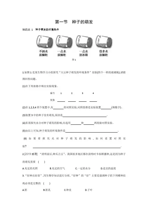 种子的萌发---同步练习  2021-2022学年人教版生物七年级上册