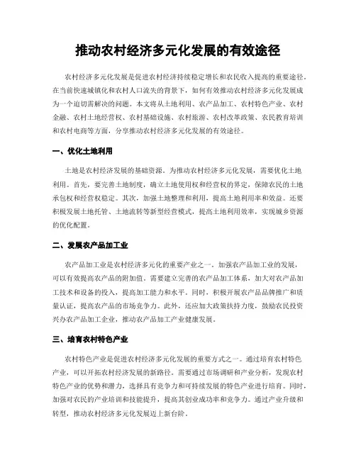 推动农村经济多元化发展的有效途径