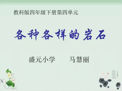 四年级下册科学课件各种各样的岩石教科版(共33张PPT)