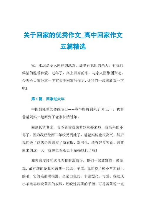 关于回家的优秀作文_高中回家作文五篇精选