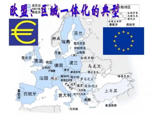 505 专题五  欧盟