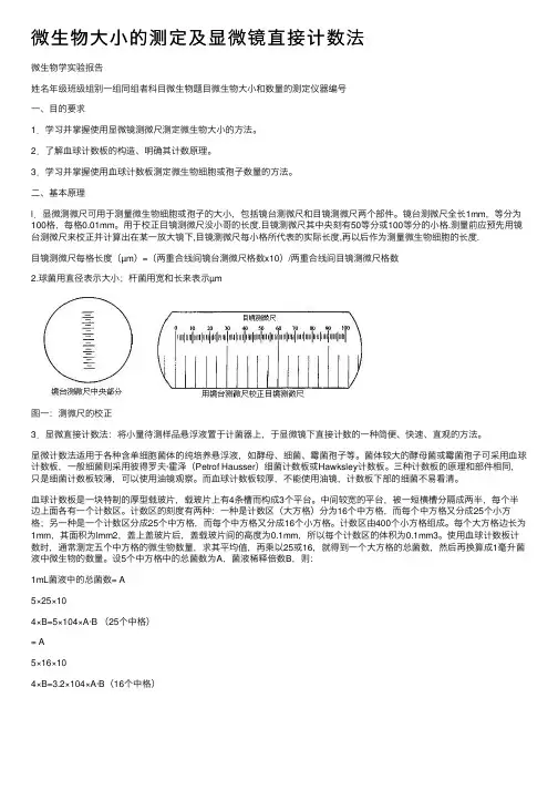 微生物大小的测定及显微镜直接计数法